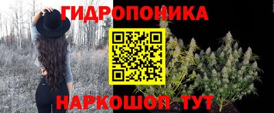 spice Вышний Волочёк